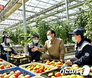주민들에 보낼 채소 준비하는 북한 중평남새온실농장 일꾼들
