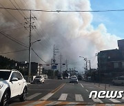 민가로 번지는 울진 산불