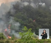 [특보] 경북 울진 산불..주민 대피령·대응2단계 발령