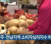 광주·전남지역 소비자심리지수 하락