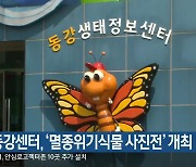 영월동강센터, '멸종위기식물 사진전' 개최