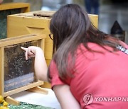 POLAND ANIMALS NATIONAL DAYS OF INSECTS