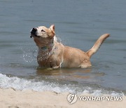 전국 맑고 큰 일교차..낮 기온 30도 안팎 더위