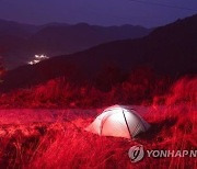 인천 캠핑장 텐트서 30대와 40대 남녀 숨진채 발견.. 가스난로 발견돼