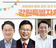 강원특별자치도법 제정 주역 도민 축하 영상 모음