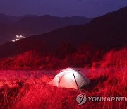 인천 캠핑장 텐트서 2명 숨진 채 발견..질식사 추정