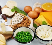 고단백질 식사가 주는 5가지 장점