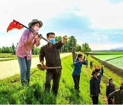 북한, 코로나19에도 농사 주력.. "모내기 열의 고조"