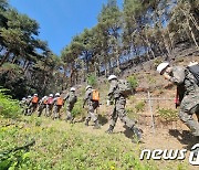 울진 산불 진압작전에 투입된 육군 50사단