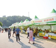 장성 황룡강 (洪)길동무 꽃길축제, 경제효과  '대박'