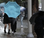 "태풍 예보, 빠르고 정확해진다".. 기상청, 올 하반기 서비스 개편