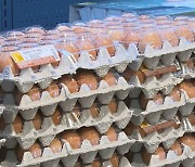 농협, 추석까지 우유·계란 등 100여개 품목 30% 할인..이성희 "물가안정 최선"