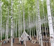 가뭄도 막고 관광객도 붙잡고..인제 원대리에 사방댐 조성