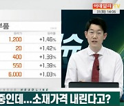 (영상)배터리 소재 확보 전쟁중인데..소재가격 내린다고?