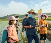 모내기 마무리 박차.. 북한 농업 일꾼들
