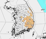 바싹 마른 초여름 불길만 스쳐도 활활..건조 특보 확대