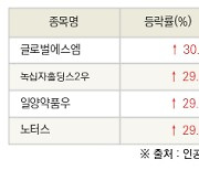 [fnRASSI]오늘의 상한가, 글로벌에스엠 30.0% ↑