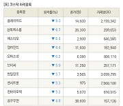 [fnRASSI]장마감, 코스닥 하락 종목(플레이위드 -9.0% ↓)