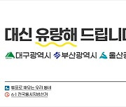 [지방선거이야기] 대신 유랑해 드립니다: 대구∙부산∙울산 편