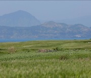 [제주날씨] 맑고 낮 기온 평년 수준.. 내일도 차차 맑음