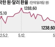 환율 17.6원 급락, 1230원대로..하반기 1100원대까지 내려가나