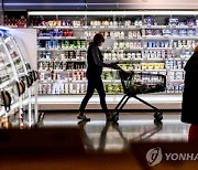 유로존 5월 물가상승률 8.1%..23년 만에 '최고치'