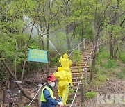 북부산림청, 지역 산림병해충 예찰대책본부 운영