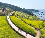 [남도마실] '느린 걸음'으로 걷는 완도 청산도와 명사십리..'안심 관광지' 선정