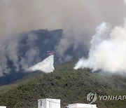 대형산불 발생한 밀양, 최근 한달간 비 한 방울 안내려