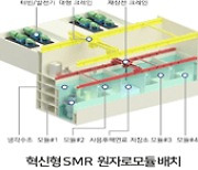 윤석열 정부, 원전 R&D 나선다