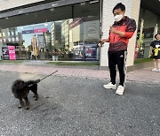 [투표 스케치]"퐁퐁이도 투표왔어요!".. 투표소에 등장한 강아지