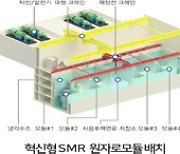 소형모듈원자로 예타 통과..예산은 대폭 삭감