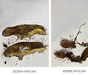 완전 생분해되는 마스크 개발..솔리아누스 브랜드 '알파콘'