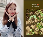 '안성현♥' 성유리, 쌍둥이 먹일 채소일까..테라스에 꾸민 텃밭