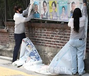 [포토]전국동시지방선거 벽보 철거하는 선관위 관계자