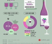 "지난해 와인 소비 전년보다 증가..혼술·홈파티 문화 영향"