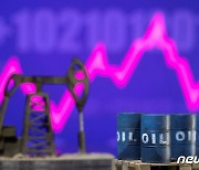 FT "유럽 금수로 러' 원유생산 급감시 사우디 증산할 것"(상보)