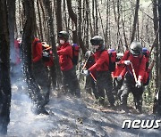 밀양 산불 진화 작전