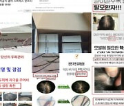 탈모 치료·예방 온라인 불법판매·부당광고 257건 덜미