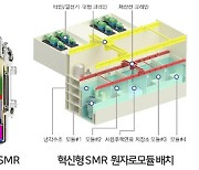 원전강국 건설 위한 대형 R&D 본격 추진한다