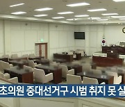 기초의원 중대선거구 시범 취지 못 살려