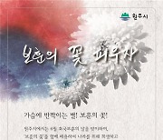 원주시, 호국보훈의 달 '보훈의 꽃' 패용 캠페인 전개