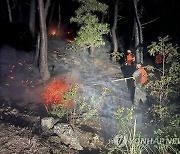 밀양 산림화재 야간 진압활동