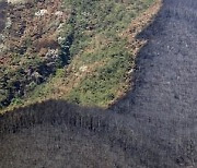 산림청, 2∼19일 산불 특별대책 기간 지정·총력 대응