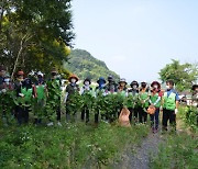 대구광역시, 민·관 합동 달성습지 가시박 대대적 제거 나서