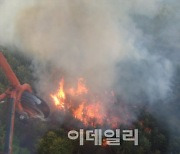 '아까시에 꽃피면 산불 안난다'는 이제 옛말..6월 산불 비상