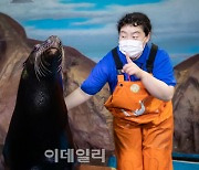 [포토] 롯데월드, 바다사자 생태설명회