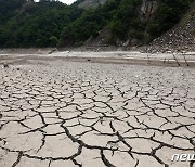 5월 강수량 불과 5.8mm..심각해지는 강원 가뭄에 농민 '한숨'