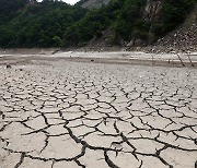 전국 가뭄 피해 확산..정부, 대체수원 개발 등 대책 추진