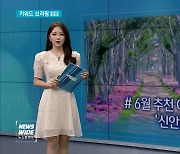 [키워드브리핑]신안 도초도 수국꽃 축제 등